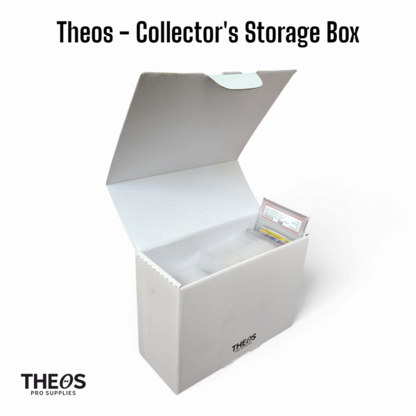 Collector's Storage Box - Image 4